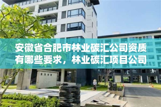 安徽省合肥市林业碳汇公司资质有哪些要求，林业碳汇项目公司