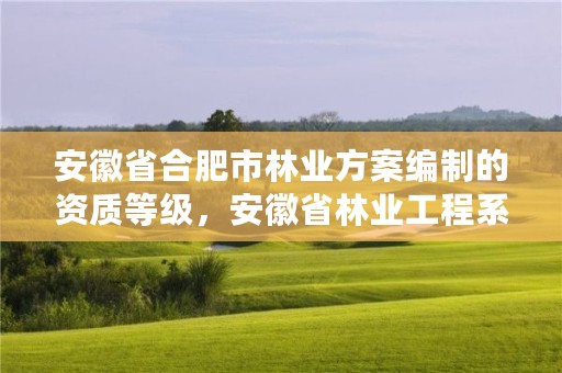 安徽省合肥市林业方案编制的资质等级，安徽省林业工程系列技术资格评审标准条件