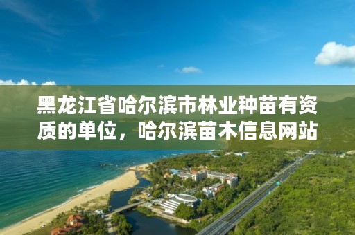 黑龙江省哈尔滨市林业种苗有资质的单位，哈尔滨苗木信息网站