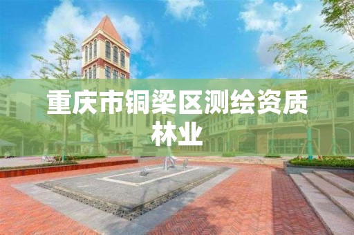 重庆市铜梁区测绘资质林业