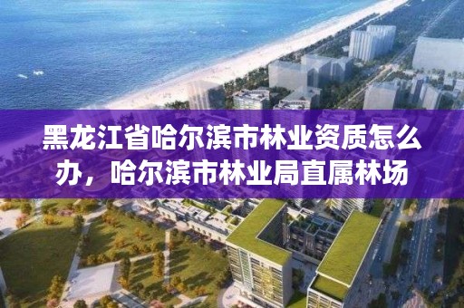 黑龙江省哈尔滨市林业资质怎么办，哈尔滨市林业局直属林场