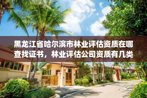 黑龙江省哈尔滨市林业评估资质在哪查找证书，林业评估公司资质有几类