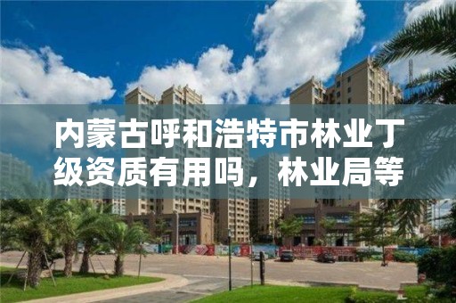 内蒙古呼和浩特市林业丁级资质有用吗，林业局等级