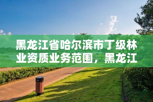 黑龙江省哈尔滨市丁级林业资质业务范围，黑龙江省哈尔滨市林业局官网