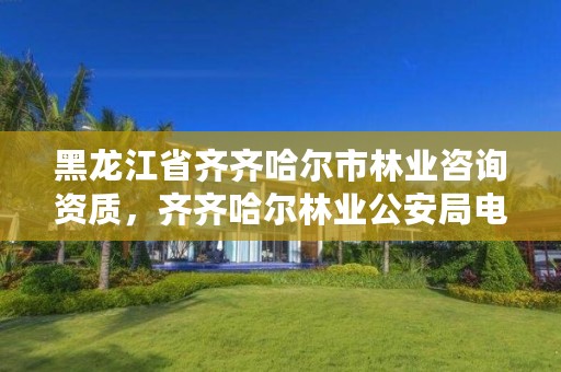 黑龙江省齐齐哈尔市林业咨询资质，齐齐哈尔林业公安局电话