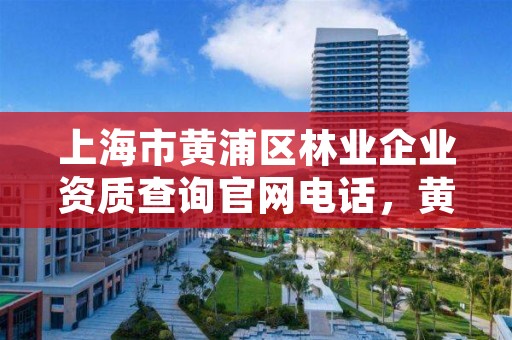 上海市黄浦区林业企业资质查询官网电话，黄浦区园林绿化管理局