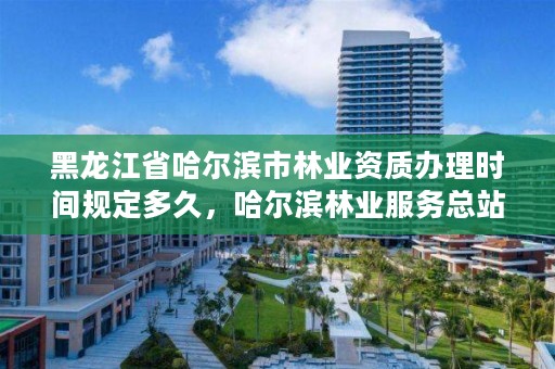 黑龙江省哈尔滨市林业资质办理时间规定多久，哈尔滨林业服务总站