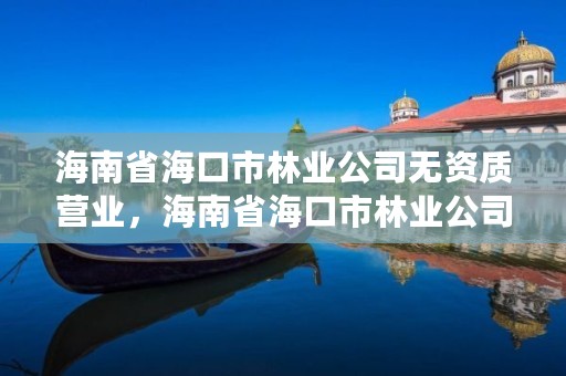 海南省海口市林业公司无资质营业，海南省海口市林业公司无资质营业执照办理