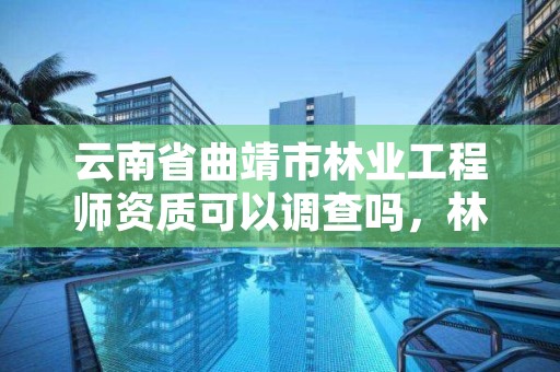 云南省曲靖市林业工程师资质可以调查吗，林业工程师资格