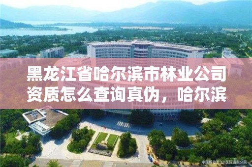 黑龙江省哈尔滨市林业公司资质怎么查询真伪，哈尔滨林业厅官网