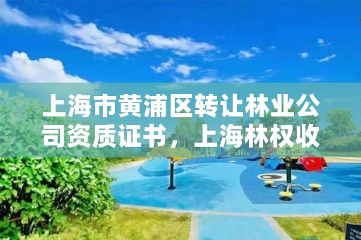 上海市黄浦区转让林业公司资质证书，上海林权收购公司