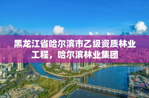 黑龙江省哈尔滨市乙级资质林业工程，哈尔滨林业集团