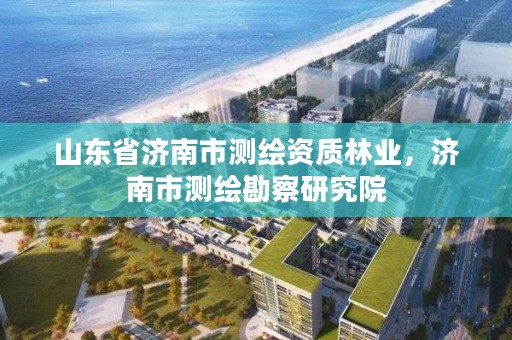 山东省济南市测绘资质林业，济南市测绘勘察研究院