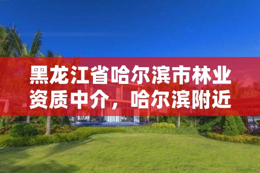 黑龙江省哈尔滨市林业资质中介，哈尔滨附近的林业局