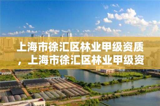 上海市徐汇区林业甲级资质，上海市徐汇区林业甲级资质公司名单