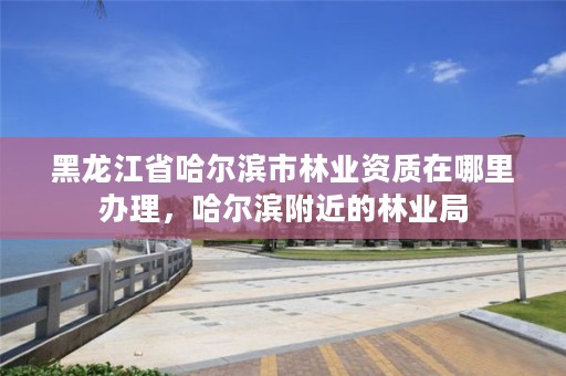 黑龙江省哈尔滨市林业资质在哪里办理，哈尔滨附近的林业局