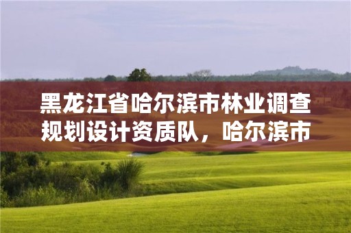 黑龙江省哈尔滨市林业调查规划设计资质队，哈尔滨市林业设计院