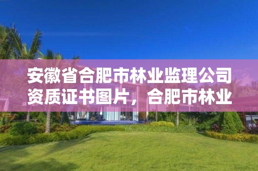 安徽省合肥市林业监理公司资质证书图片，合肥市林业局投诉电话