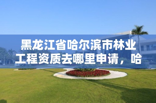 黑龙江省哈尔滨市林业工程资质去哪里申请，哈尔滨市林业设计院