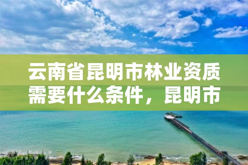 云南省昆明市林业资质需要什么条件，昆明市林业产业投资开发有限公司