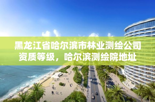 黑龙江省哈尔滨市林业测绘公司资质等级，哈尔滨测绘院地址