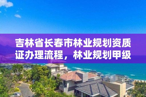 吉林省长春市林业规划资质证办理流程，林业规划甲级资质单位