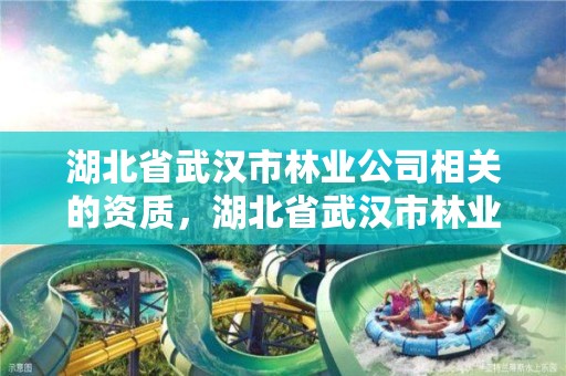 湖北省武汉市林业公司相关的资质，湖北省武汉市林业公司相关的资质是什么