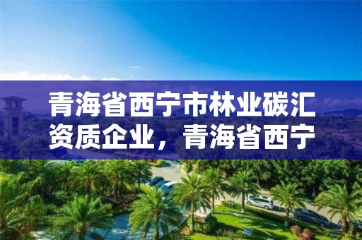 青海省西宁市林业碳汇资质企业，青海省西宁市林业碳汇资质企业有哪些