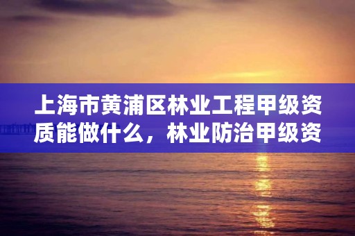 上海市黄浦区林业工程甲级资质能做什么，林业防治甲级资质证书