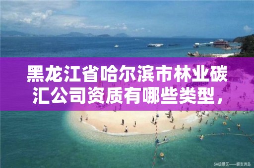 黑龙江省哈尔滨市林业碳汇公司资质有哪些类型，林业碳汇项目审定和核证指南