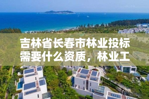 吉林省长春市林业投标需要什么资质，林业工程招投标管理办法