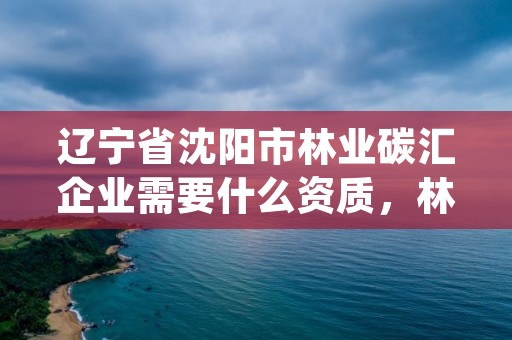 辽宁省沈阳市林业碳汇企业需要什么资质，林业碳汇项目pdd