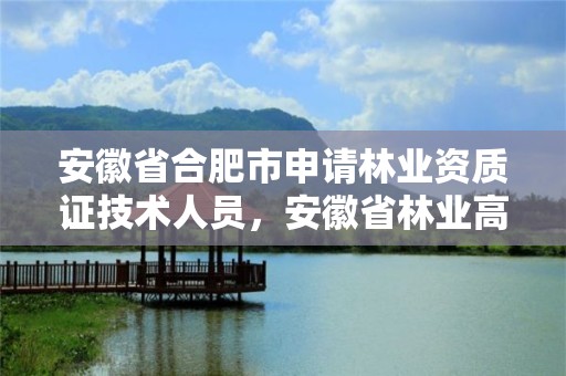 安徽省合肥市申请林业资质证技术人员，安徽省林业高级工程师评审条件