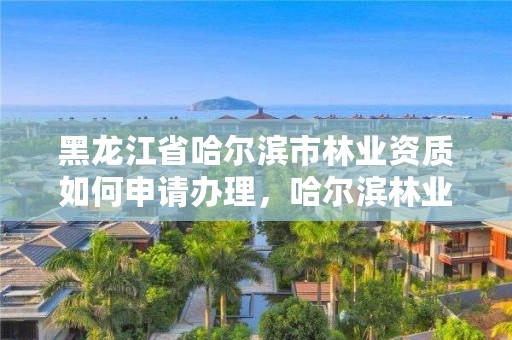 黑龙江省哈尔滨市林业资质如何申请办理，哈尔滨林业局管辖范围