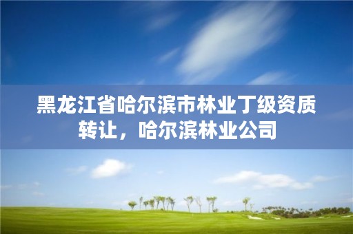 黑龙江省哈尔滨市林业丁级资质转让，哈尔滨林业公司