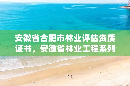 安徽省合肥市林业评估资质证书，安徽省林业工程系列专业技术资格评审标准条件