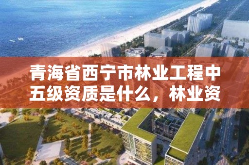 青海省西宁市林业工程中五级资质是什么，林业资质等级