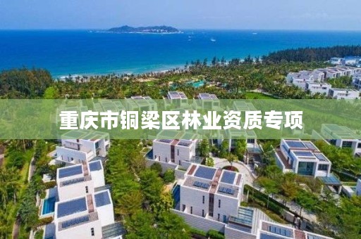 重庆市铜梁区林业资质专项