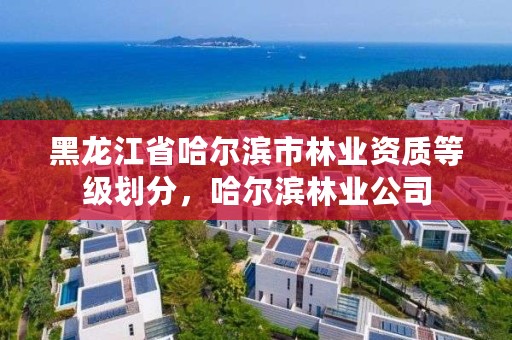 黑龙江省哈尔滨市林业资质等级划分，哈尔滨林业公司