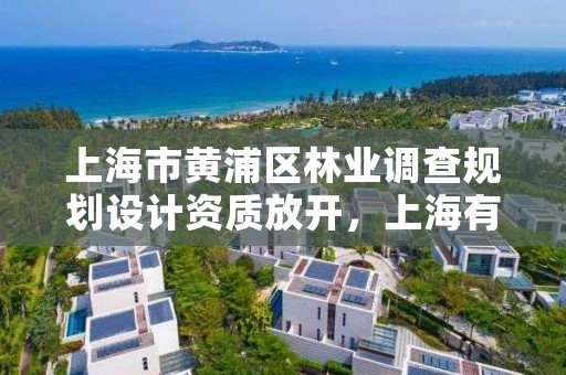 上海市黄浦区林业调查规划设计资质放开，上海有没有林业局