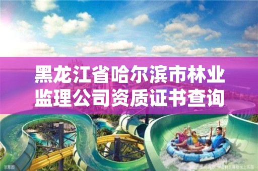 黑龙江省哈尔滨市林业监理公司资质证书查询，黑龙江林业监测规划院官网