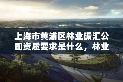 上海市黄浦区林业碳汇公司资质要求是什么，林业碳汇交易中心