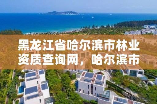 黑龙江省哈尔滨市林业资质查询网，哈尔滨市林业和草原局官网