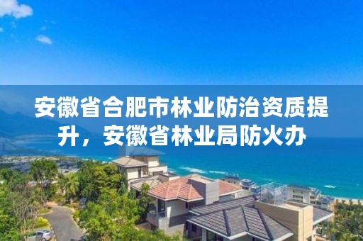 安徽省合肥市林业防治资质提升，安徽省林业局防火办