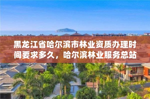 黑龙江省哈尔滨市林业资质办理时间要求多久，哈尔滨林业服务总站