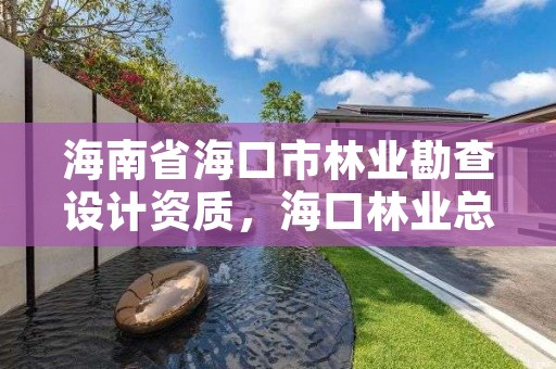 海南省海口市林业勘查设计资质，海口林业总公司