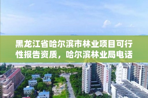 黑龙江省哈尔滨市林业项目可行性报告资质，哈尔滨林业局电话号码