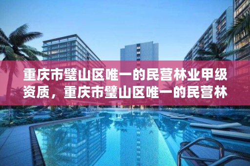 重庆市璧山区唯一的民营林业甲级资质，重庆市璧山区唯一的民营林业甲级资质公司