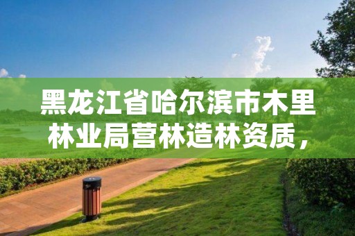 黑龙江省哈尔滨市木里林业局营林造林资质，哈尔滨周边的林业局