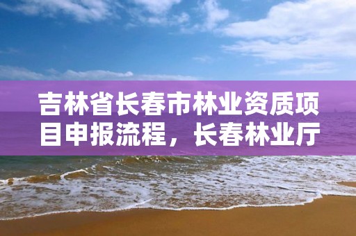 吉林省长春市林业资质项目申报流程，长春林业厅在哪里